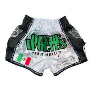 Pantalones Cortos de Muay Thai Elásticos de Alta Calidad, Hechos a Medida, Ropa de Artes Marciales con Logotipo Frontal, Unisex, Más Vendidos - Product Image 1