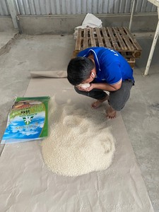 ข้าวเวียดนามคาลโรส พรีเมียม เมล็ดกลาง สำหรับทำซูชิ |   OEM ODM จัดหาสินค้าจำนวนมากโดยกลุ่มเซเลสเต วิลาโคนิค - Product Image 2