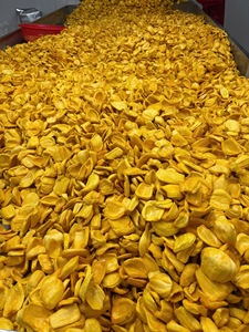 Chispas de Jaca Seca Madura Saborizadas, Fritas al Vacío, Naturalmente Dulces, Hechas con Aceite 100% Puro, Hechas con Jaca Madura Orgánica - Product Image 6