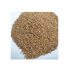 Yellow <b>Millet</b> Yellow Broomcorn For Bird Seeds With <b>Millet</b> Seeds - Product Image 5
