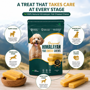 Masticables de Queso de Leche de Yak del Himalaya Premium para Perros, Huesos Dentales Duros, Alto Contenido de Calcio, Ingredientes Naturales, Calidad de Exportación, OEM - Product Image 4