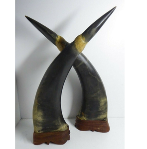 Buffalo <b>Decorative</b> Horn 100% Raw Animal Horns <b>Decorative</b> 2 Wall Mounted Horn <b>Decorative</b> 2 Pieces - Product Image 3