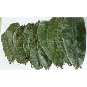 GROS FEUILLES DE SOURSOP SÉCHÉES/FEUILLES DE GRAVIOLA SÉCHÉES/ORIGINE DU VIETNAM // Kevin - Product Image 2
