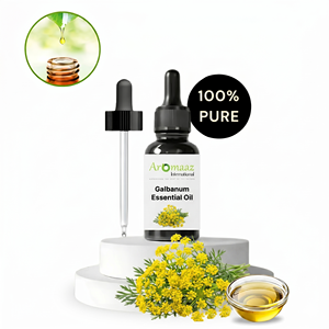 Aceite Esencial de Galbanum Aromaaz International 100% Puro Destilado al Vapor para Todo Tipo de Piel, Fabricante de Aceite de Galbanum - Product Image 3