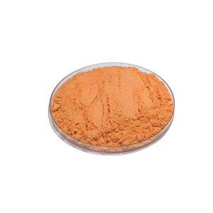 Poudre d'extrait de fruit de Gac Halal de qualité alimentaire en vrac, séchée par pulvérisation et emballée sous vide pour les aliments et les compléments alimentaires - Product Image 2