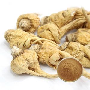 Polvo de Maca Popular de Grado Alimenticio, Polvo de Maca de Alta Calidad Comúnmente Utilizado en Productos de Bienestar para el Apoyo Hormonal - Product Image 6