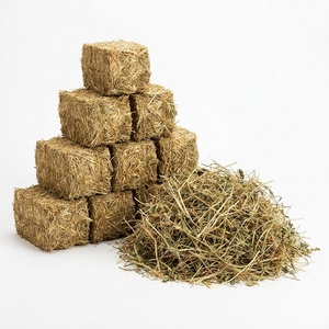 Heno de Alfalfa Premium, Forraje Natural de Grado Alimenticio para Caballos, Ganado, Cabras y Ovejas, Aplicaciones de Alimentación Nutricional - Product Image 1