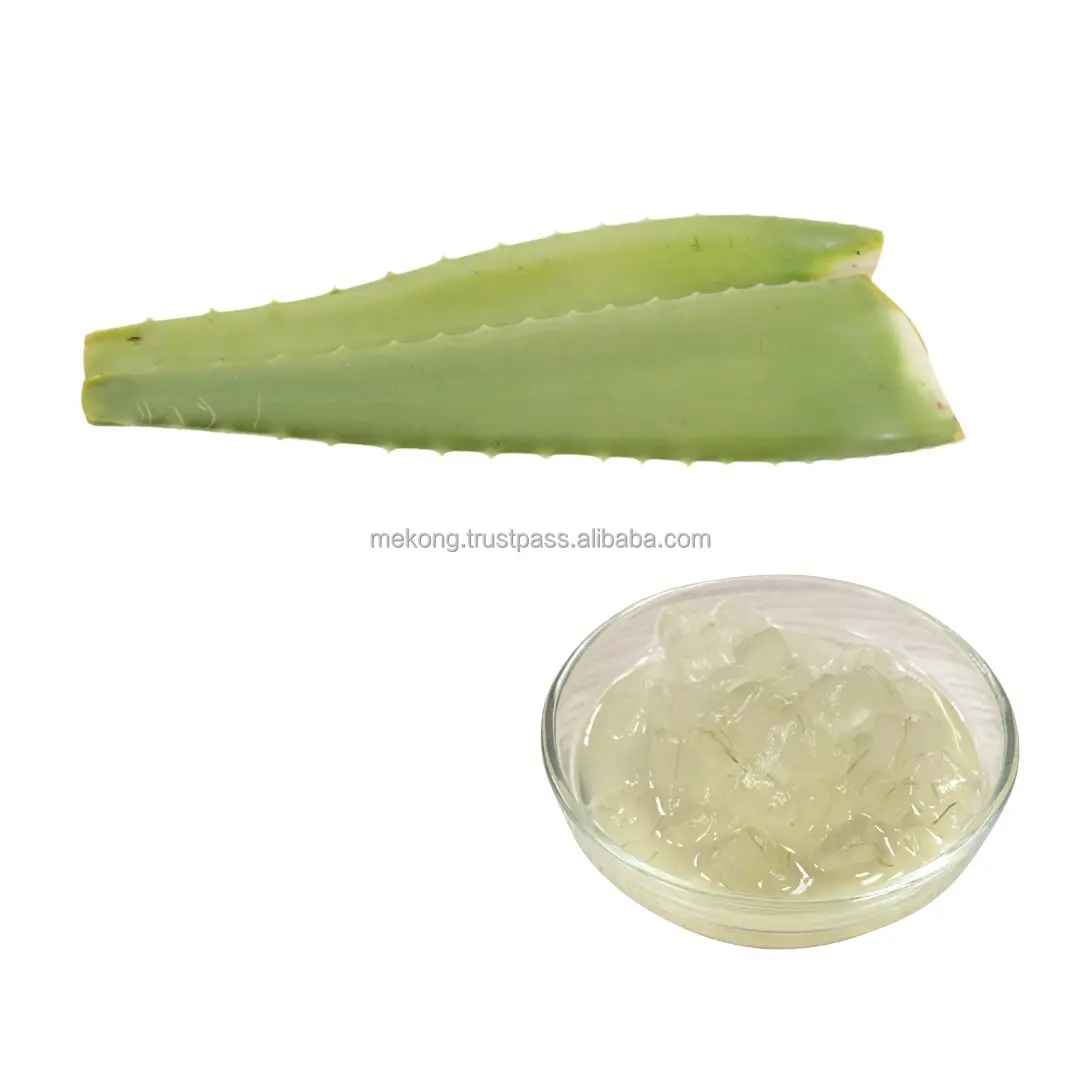 Hot Deal Cheap Bulk Nutritious Healthy Aloe Vera Pulp Material For Juice Drink From Viet Nam
