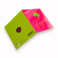 Album CD-R Progress avec étui portefeuille rouge et vert, impression offset, capacité 700 Mo