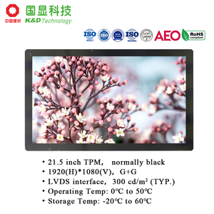 KD 21.5 "TFT IPS màn hình <span class=keywords><strong>LCD</strong></span> Panel với 89/89/89/89 góc nhìn 99% NTSC 14ms Thời gian đáp ứng LVDS giao diện - Product Image 4