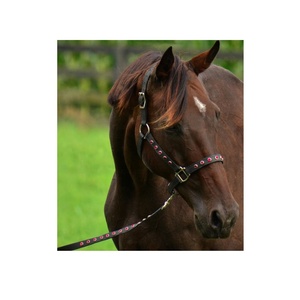 Bride de cheval personnalisée en gros de haute qualité équipement en cuir PVC pour le dressage et la course accessoires d'équitation légers portables - Product Image 3