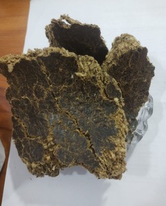 Harina de Semillas de Algodón de Alta Proteína, Extraída con Solvente, para Alimentación de Ganado, Lechera y Aves de Corral, Suministro a Granel - Product Image 4