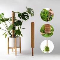 Piquets en fibre de coco pointus de 3 pieds, treillis rond pour plantes grimpantes d'intérieur et d'extérieur