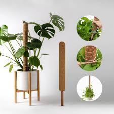 Estacas de Fibra de Coco para Plantas, Redondas y Puntiagudas de 3 Pies, para Plantas Trepadoras de Interior y Exterior - Product Image 3