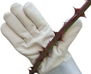 Gray Women's <b>Long</b> Garden <b>Gloves</b> Custom Design Water Thorn Proof Protection Anti-Cut Anti-Slip Flower Pruning Gardening Work - Product Image 2