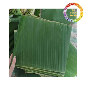 Feuilles de bananier naturelles congelées pour l'emballage alimentaire, la cuisson et les plats traditionnels, approvisionnement en vrac, Vietnam - Product Image 1