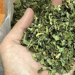 MÁS VENDIDO Hoja de Papaya Seca Viet Delta para Preparar Té y Alimento para Mascotas, Fácil de Beber, Bolsa de 3kg/PE, 12 Meses de Vida Útil, Modelo Festivo - Product Image 1