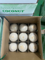 Vietnam berlian memotong kelapa Premium muda minum kelapa dengan air murni secara alami dipangkas dikemas untuk ekspor dan grosir
