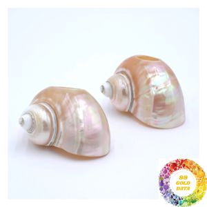 Anneau de serviette décoratif Coquillage Côtier – Cadeau idéal pour les hôtes de réceptions de mariage, les tables de restaurant, la salle à manger à la maison et les amateurs de plage - Product Image 2