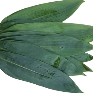 แผ่นไม้ไผ่แช่แข็ง,สำหรับบรรจุอาหาร Ms Hana - Product Image 1