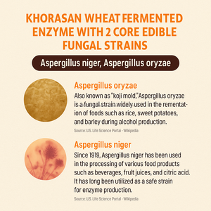 ผงเอนไซม์จากธัญพืชหมัก OEM ผสมข้าวคอราซาน 30 ซอง แท่งช่วยย่อยอาหารจากธรรมชาติสำหรับผู้ใหญ่ อายุการเก็บรักษา 24 เดือน - Product Image 3