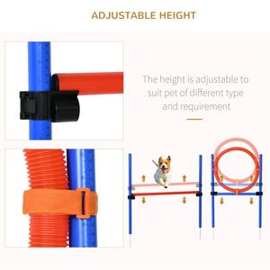 Équipement d'entraînement d'agilité pour chiens - Product Image 6