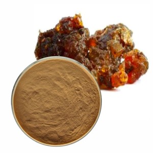 Extracto de Guggul 100% Puro OEM ODM, 20% en Polvo, Rico en Guggulsterones para Suplementos Dietéticos, Polvo de Guggul Natural de la India - Product Image 4