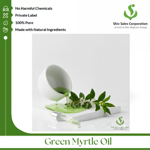 Approvisionnement exclusif d'huile essentielle de myrte verte pour les acheteurs en gros dans les industries de la création de parfums et des soins personnels - Product Image 2