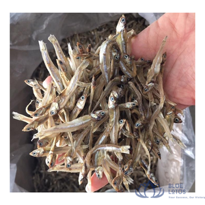 OFERTA ESPECIAL: Anchoas Secas Procesadas por Congelación/Secado al Vacío, 100% Puras, Marca Blue Lotus, envasadas al Vacío para Restaurantes y Servicios de Catering - Product Image 1