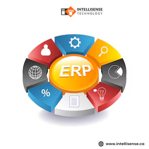 Solutions de développement logiciel d'entreprise personnalisées pour les applications ERP, CRM, SaaS, cloud et l'intégration API - Logiciels professionnels - Product Image 1
