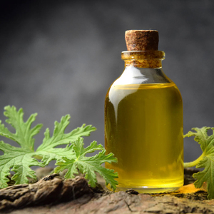 Aceite Esencial de Davana Auténtico 100% Puro de Grado Premium con Aroma Herbal Dulce y Fresco, Destilado al Vapor para Aplicaciones Cosméticas - Product Image 1