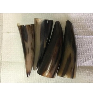 Cuernos de Búfalo Naturales de Alta Demanda para Decoración del Hogar, Estilo Animal Pulido de Alta Calidad - Product Image 5