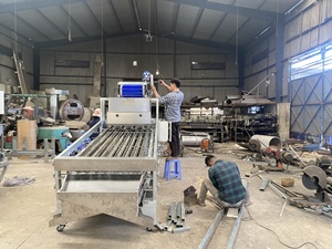 Machine de calibrage automatique de noix de cajou de haute qualité, marque TTQ, 380V, pour usine de transformation de fruits, directement du Vietnam, nouveau prix compétitif - Product Image 2