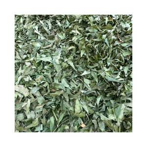 Hojas Secas de Neem Orgánico de Alta Pureza, Material Vegetal Herbal de Azadirachta Indica para la Fabricación de Extractos Vegetales y el Cuidado de la Salud - Product Image 6