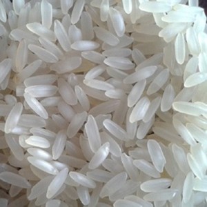 Arroz PONNI Crudo, No Basmati, Grano Largo, Blanco, Sin Precocinar, Seco, 24 Meses de Vida Útil, Gujarat, India, Exportadores Sanderi - Product Image 1