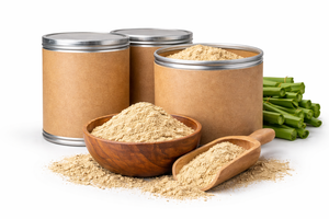 Herbal Cissus Quadrangularis Extract Powder 20% Ketosterones Wholesale - Product Image 3