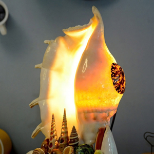 High Quality Vietnam Seashell Nightlight For Industrial Craft Making And Wholesale Interior Design Lamps 99 Gold Data - Product Image 1