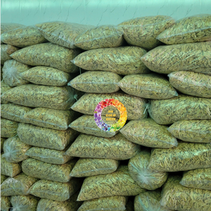 Chips de banane croustillantes, collation de fruits sucrés, bananes déshydratées en tranches, goût naturel, approvisionnement en vrac - Product Image 3