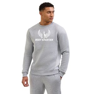 Mens Light Grey <b>Colour</b> <b>Block</b> Crewneck Sweatshirt Casual Fleece Pullover Long Sleeve Winter Apparel Top - Product Image 1
