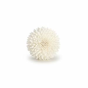 ดอกเจอร์เบอร์ราโซล่า ขนาด 6.5 ซม. ก้านไฟเบอร์จากต้นเซสบานีอา สำหรับอโรมาเธอราพี ทำด้วยมือ เป็นมิตรต่อสิ่งแวดล้อม แบบเจาะรู สำหรับตกแต่ง GS001 Phra - Product Image 3