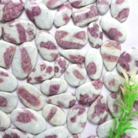 Beste Qualität Rosa Turmalin-Quarz Edelstein Hochwertiger Natürlicher Rosa Turmalin-Quarz Gemischte Formen Edelstein für Schmuckherstellung