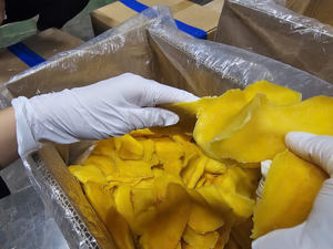 Rodajas de Mango Seco Suave a Granel – Fruta Seca de Mango Dulce Natural para Exportación Global - Product Image 3