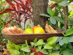 Conteneur de bougie vide de luxe indien 2022 bois de mangue noyer foncé polyvalent de haute qualité sculpté à la main grand bol à pâte longue - Product Image 6