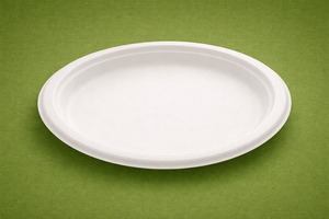 Assiette jetable classique en bagasse de canne à sucre, écologique, biodégradable et compostable, 1000 unités/boîte, Axiom Exports, pour dîner et fête - Product Image 2
