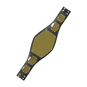 Ceinture de championnat de lutte mondiale en cuir PU respirant personnalisée pour les compétitions d'arts martiaux, service OEM unisexe - Product Image 4
