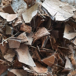 Vietnam Manufacturer Raw <b>Coconut</b> <b>Shell</b> Bulk Natural <b>Coconut</b> <b>Shell</b> for Craft Activated Carbon Export Supply - Product Image 1