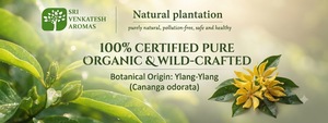 Ylang Ylang <b>Essential</b> <b>Oil</b> Pure Botanical <b>Oil</b> for Cosmetic Personal Care Aromatherapy Fragrance and Bulk Manufacturing Supply - Product Image 6
