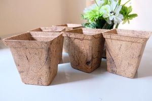 Maceta de Fibra de Cáscara de Coco – Maceta Ecológica Transpirable para un Crecimiento Saludable de las Raíces y Fácil Trasplante - Product Image 4