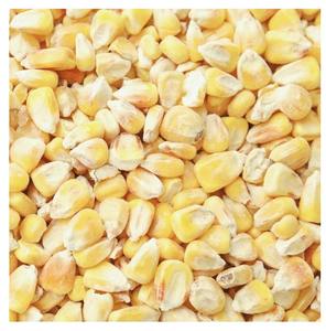 Collation croustillante de maïs aigre biologique lyophilisé en emballage sous vide et en vrac pour une alimentation saine - Product Image 1