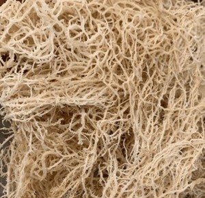 Musgo Marino Seco al por Mayor con Sal Hecho en Vietnam, Humedad 35%, Ceniza 3%, Exportación Estándar, Etiqueta OEM, Suministro Estable - Product Image 2